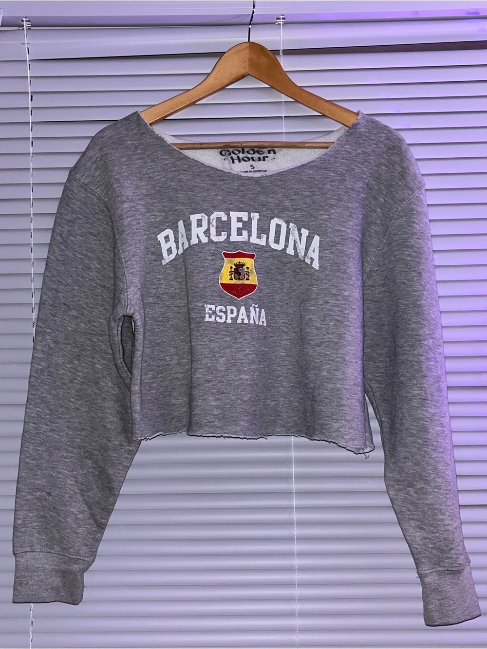 Barcelona Cropped Sweatshirt - Gray